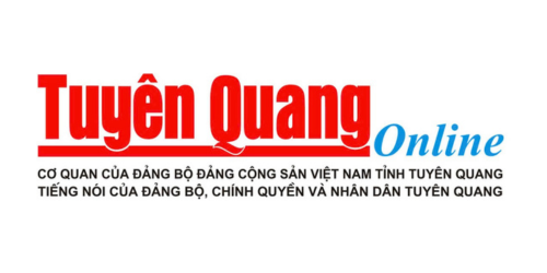 báo tuyên quang đưa tin thuê xe máy 247 quy nhơn