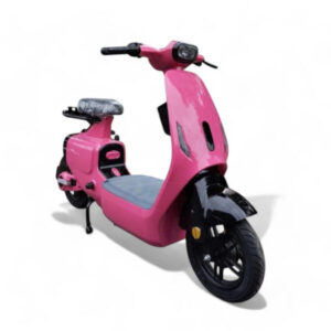 Xe điện V1 Lihaze